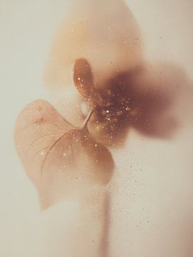 Der Staub der Morgendämmerung von Cats & Dotz