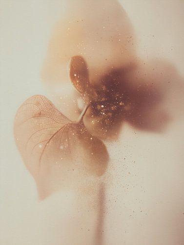 Stof van de dageraad