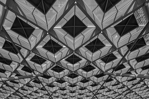 Dakconstructie treinstation Den Haag Centraal