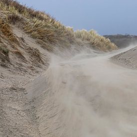 La tempête fait voler le sable dans les dunes sur STEVEN VAN DER GEEST
