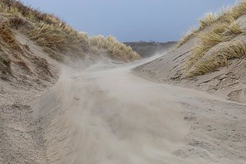 Storm blaast zand door de duinen van STEVEN VAN DER GEEST