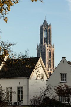 De Dom van Utrecht op 7 november 2025 (staand, kleur) van André Blom Fotografie Utrecht