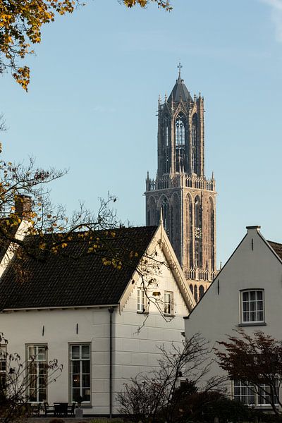 De Dom van Utrecht op 7 november 2025 (staand, kleur) van André Blom Fotografie Utrecht
