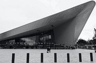Station Rotterdam Centraal van Muriël Mulder Fotografie thumbnail