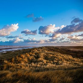 Duinen Terschelling Boschplaat van Arjan Boer