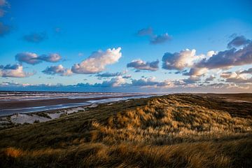 Dunes by Arjan Boer
