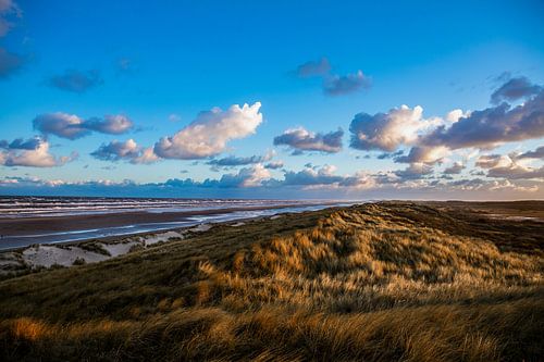 Duinen Terschelling Boschplaat