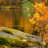 Autumn in Norway, green fisherman's cottage among trees in autumn colours by Melissa Peltenburg