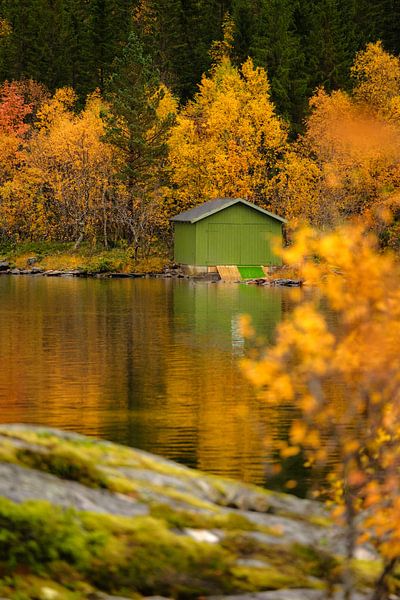 Herbst in Norwegen, grünes Fischerhäuschen zwischen Bäumen in Herbstfarben von Melissa Peltenburg
