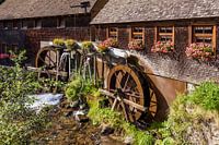Hexenlochmühle im Schwarzwald