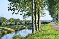Blick in den Haarlemmermeer-Polder