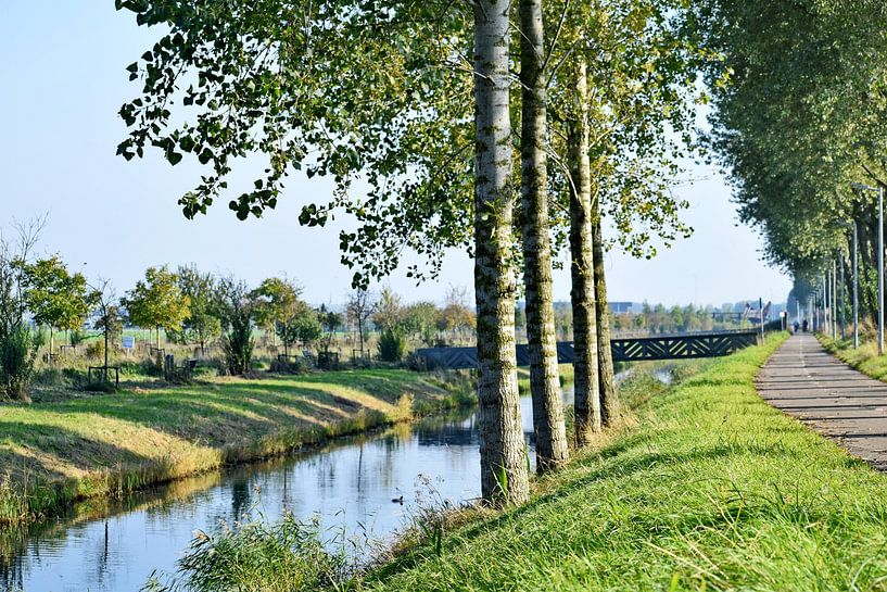 Uitzicht in de Haarlemmermeer polder van Corinne Kalisvaart