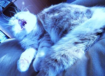 roaring!!!