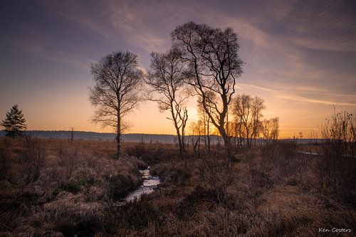 Lever du soleil dans les Hautes Fagnes