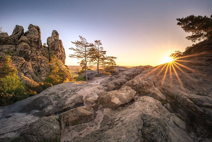 Hamburg coat of arms near Timmenrode by Steffen Henze