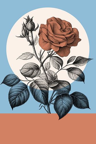 Botanical in Color von Marja van den Hurk