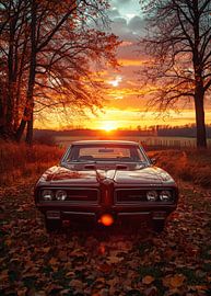 Pontiac GTO von gil an