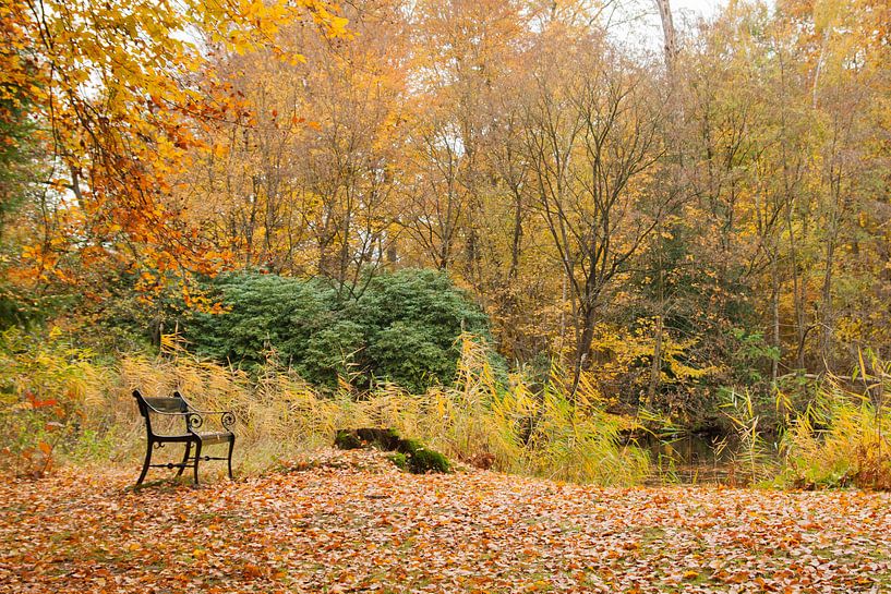 Bank im Herbst von Harld Roling