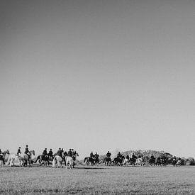 Chasse aux glissades dans l'Achterhoek sur Holly Klein Oonk