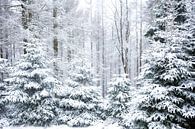 Winter Wald Motiv van Oliver Henze thumbnail