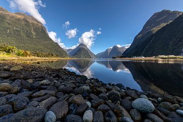 Milford sound reflection by Michael Bollen