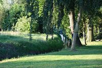 green landscape with stream