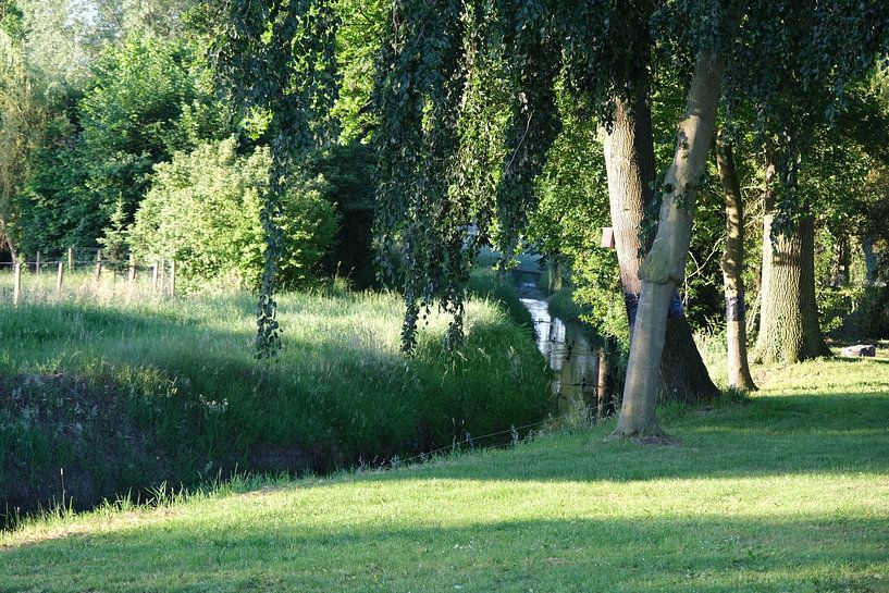 green landscape with stream by Spijks PhotoGraphics