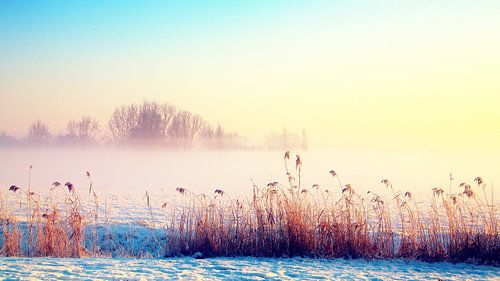 zonnige winter  von Marianne Bras