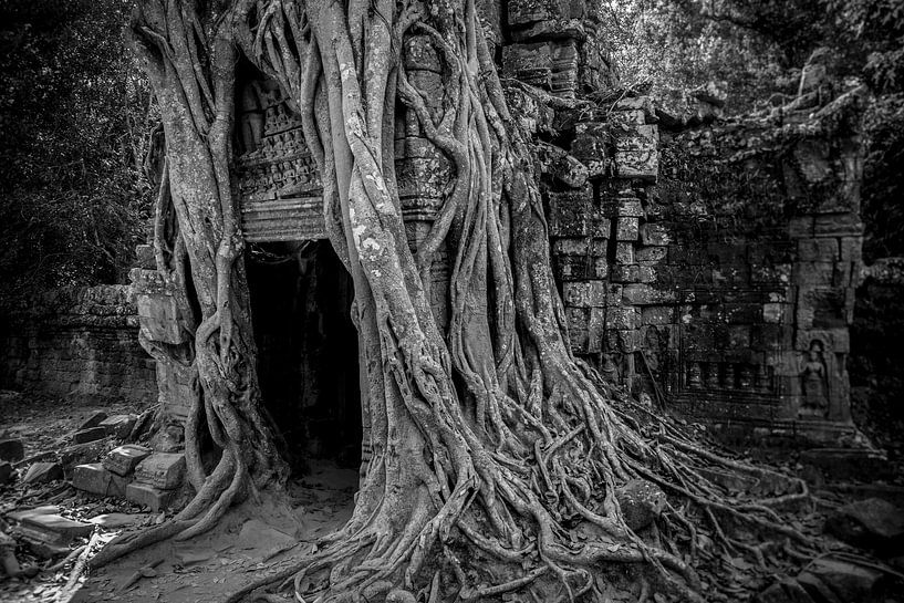 Ta prohm, Angkor Wat van WvH