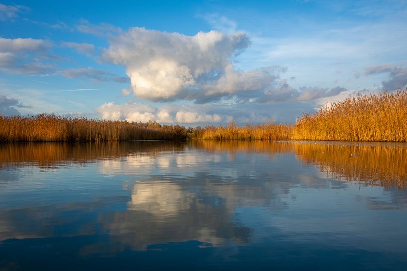 Park Lingezegen in de herfst op een namiddag van Pieter JF Smit