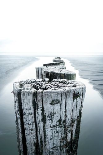 Photo rustique en haute définition d'un brise-lames sur la plage
