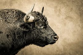 Buffalo portrait wall art