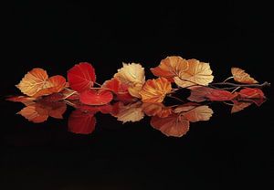 Laubblätter in Herbstfarben
