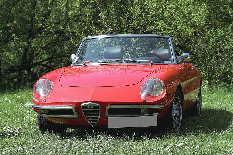 Alfa - Romeao Milano; 28.03.2018 von Anja Bagunk