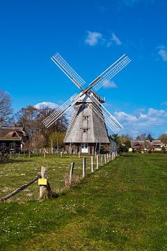 Historische Windmühle in Ahrenshoop auf dem Fischland-Darß