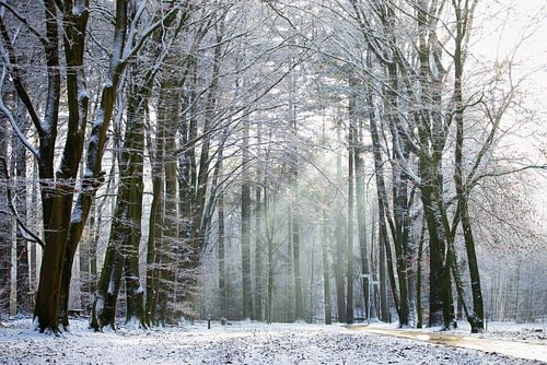 Winter in Herperduin