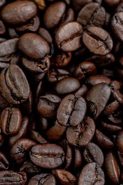 Coffee beans by Nina van der Kleij