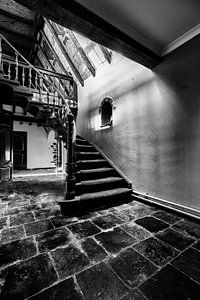 Treppe aux Paradise