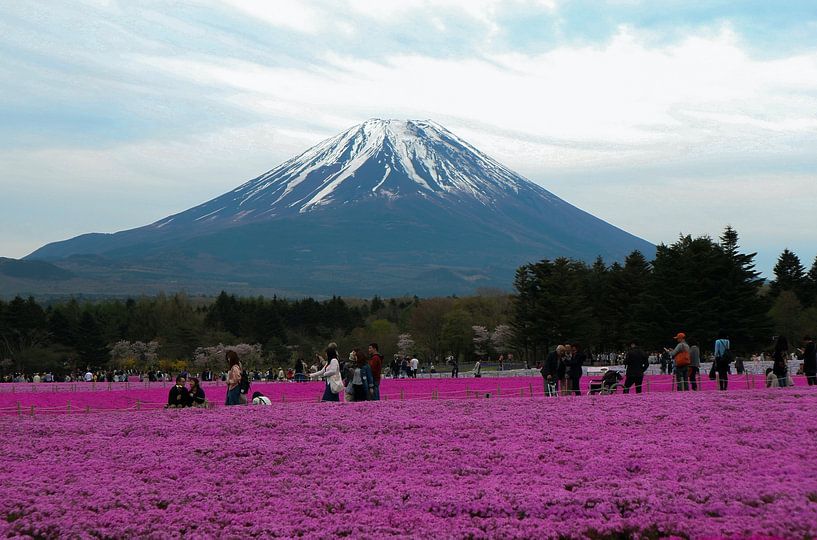 Mount Fuji by Hello Pompoyo