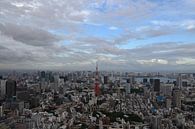 Tokyo Tower - The Skyline von Wessel Smit Miniaturansicht