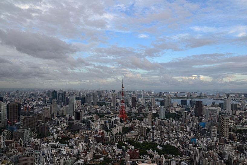 Tokyo Tower - The Skyline von Wessel Smit