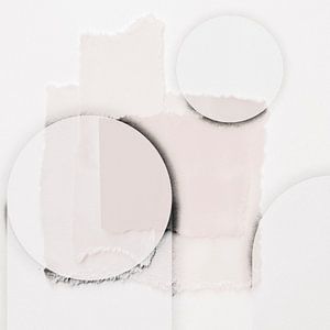 Sanfter Minimalismus in Kreis Formen Blush