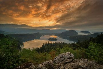 Bled on Fire by Martin Podt