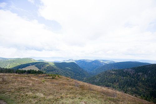 Uitzicht vanaf de Feldberg in het Zwarte Woud