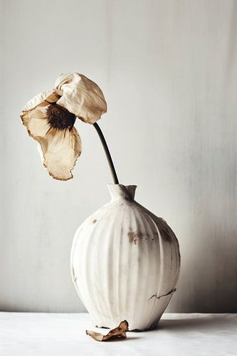 Céramique blanche No 4