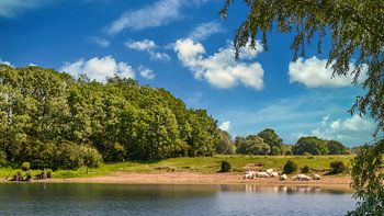 Sommerliche Ruhe in typisch holländischer Landschaft.