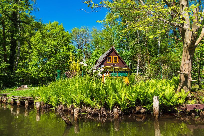 Gebäude im Spreewald bei Lehde par Rico Ködder