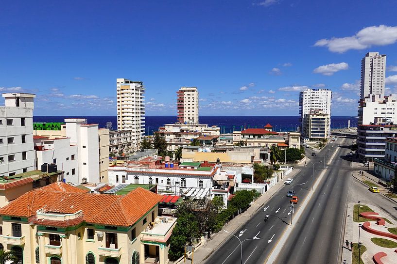 Havana by Hello Pompoyo