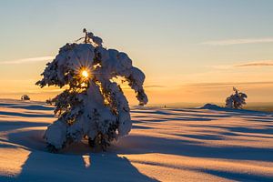 Long shadows by Denis Feiner