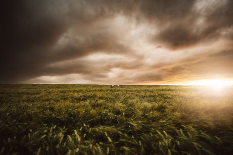 Zonsondergang in het veld van Fabian Elsing